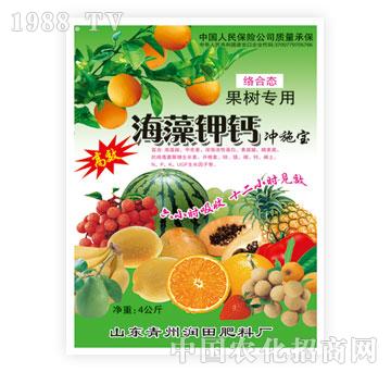 ��(r��n)��-������}������(sh��)���ã�