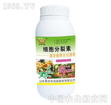 ����-����������