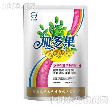 �Ӷ����������һ��ˎ