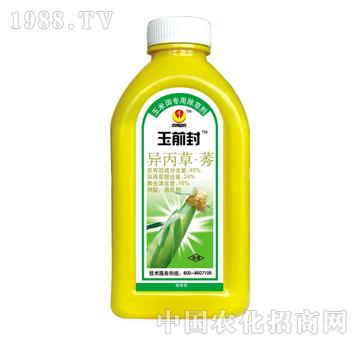 40%������ݬ-��ǰ��-̩�