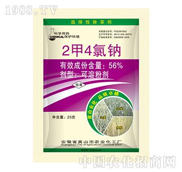 56%2��4���c-�{(l��n)���r(n��ng)�I(y��)