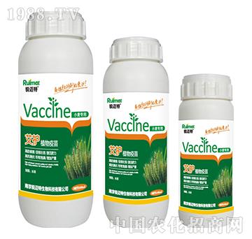 ���o(h��)ֲ������С������-�J�~��