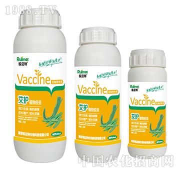 ���o(h��)ֲ�����綹�ǌ���-�J�~��