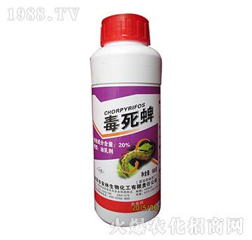 20%���������鄩-����