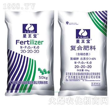 �����B(t��i)����(f��)�Ϸ���20-20-20-������-ֲ������