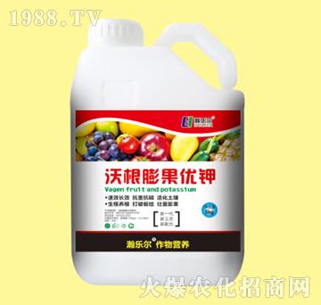 �ָ������(y��u)�-嫘���