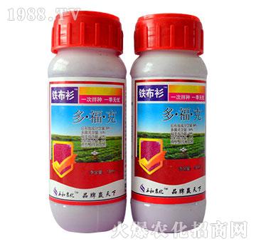 30%�����-�F����-�읙����