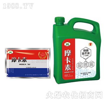 �V�V���־����AҺ���ؼӴ���-Ħ����-��о���H