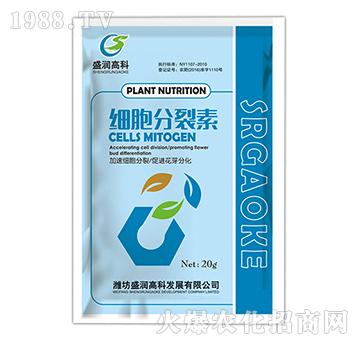 ��(x��)��������-ʢ��(r��n)�߿�