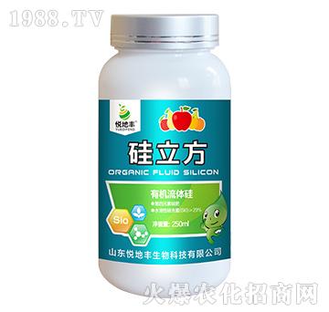 �ЙC���w��-������-�����S