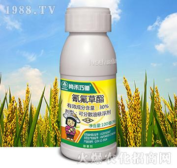 30%�������-�к����z-�к����_(d��)