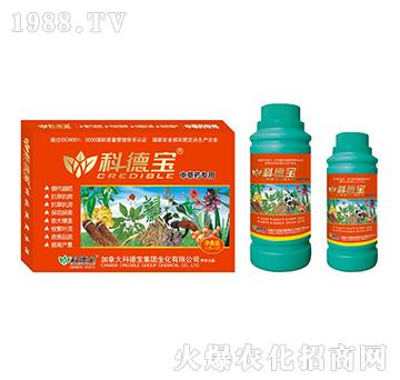 �в�ˎ���àI(y��ng)�B(y��ng)���a(ch��n)�{(di��o)�턩-�Ƶ�