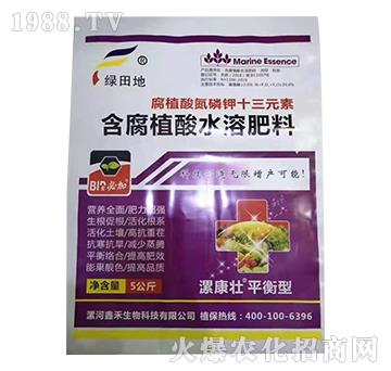 ��ֳ�ᵪ���ʮ��Ԫ��-�𿵉�-�G���