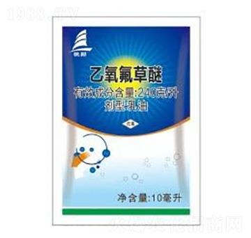 240��ÿ������������-ϲ�S��