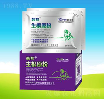 ����ԭ��-�n��ʘI(y��)