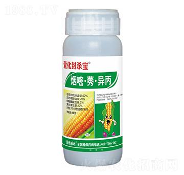 42%���ס�ݬ������-�滯�⚢��-�滯���h(yu��n)