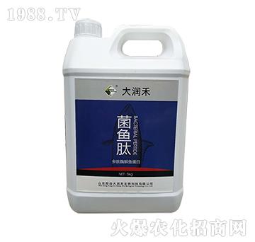 ���~��-����ø���~����-�󝙺�