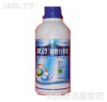 ����������-(li��n)��-� �����