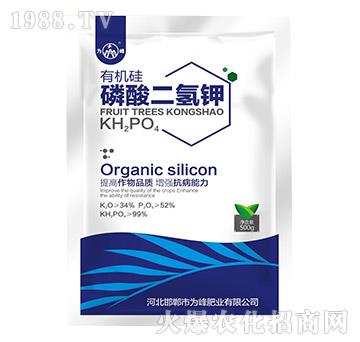 500g�ЙC(j��)����������-���