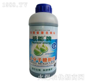 ������С�����Ǵ��}-� �����