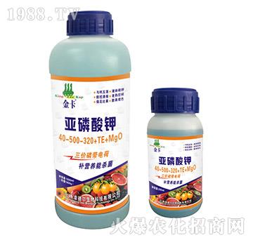 �������40-500-320+TE+MgO-��-��?t��ng)����? width=