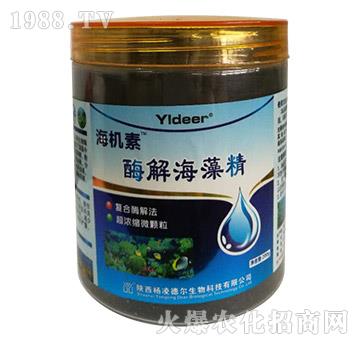 ø�⺣�徫-���C��-� �����