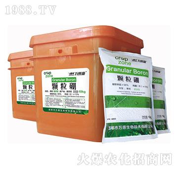 �w����-�f�ݿ�