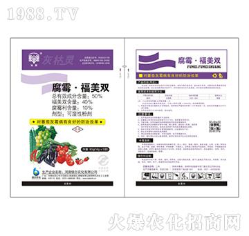 50%��ù�������p-����