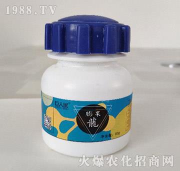 �����-���˳�