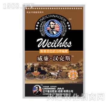 �����ɫ�����_ʩ��-�������h��˹-�μ�