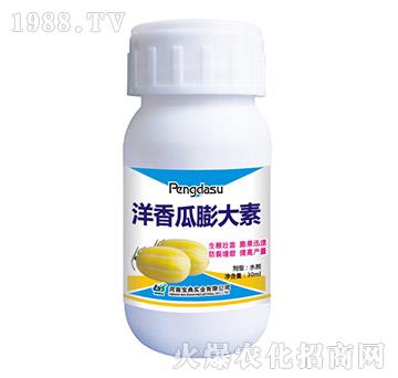 ����������-���䌍(sh��)�I(y��)