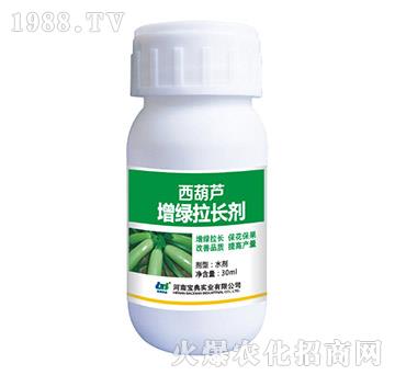 �����J���G���L(zh��ng)��-���䌍(sh��)�I(y��)