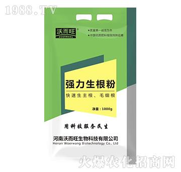 ����������-�ֶ���