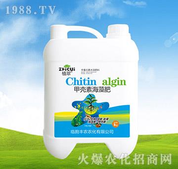 �ך��غ����-ֲ��-�S�r�r��