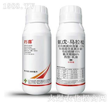 21%���졤�R����-��ϲ-�����_