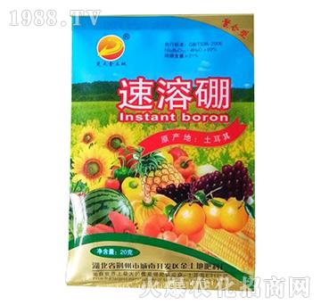 20��������-���������