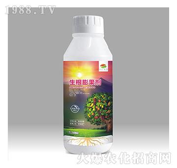 ���������-��������