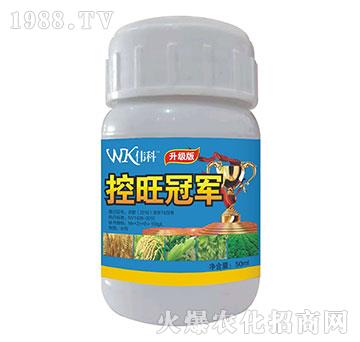 ����-���ƷʘI(y��)