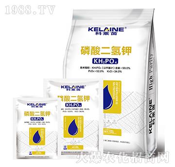 ��������-���R��-�W���r(n��ng)�I(y��)