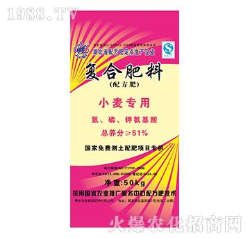 С����(zhu��n)�Ï�(f��)�Ϸ���-����