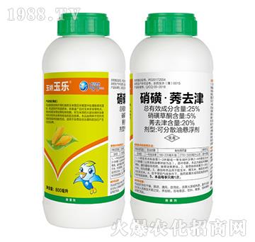 25%���ǡ�ݬȥ��-�����-��������