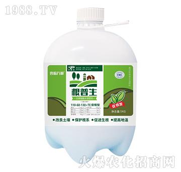 ����ֳ��ˮ�ܷ���110-60-130-������-������