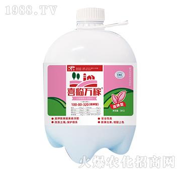 ����ֳ��ˮ�ܷ���100-80-320-ϲ�R�f��-������