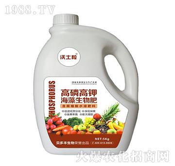 ���׸�⛺��������-ؐ���S