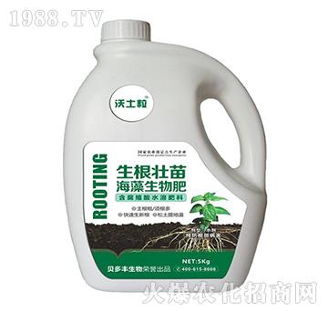 �������纣�������-ؐ���S