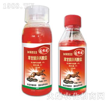 41%�ݸ�좮������}-�B����-�ݵ�˹