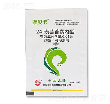 24-���|̦�؃�֬-��ؐ��-���ְ���