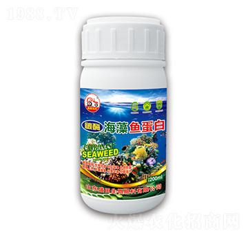 ̼ø�����~(y��)����-ʢ������