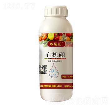 �ЙC��-�r���R-������˹