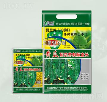 �S��픻������ֱ�L(zh��ng)�~���-���@����